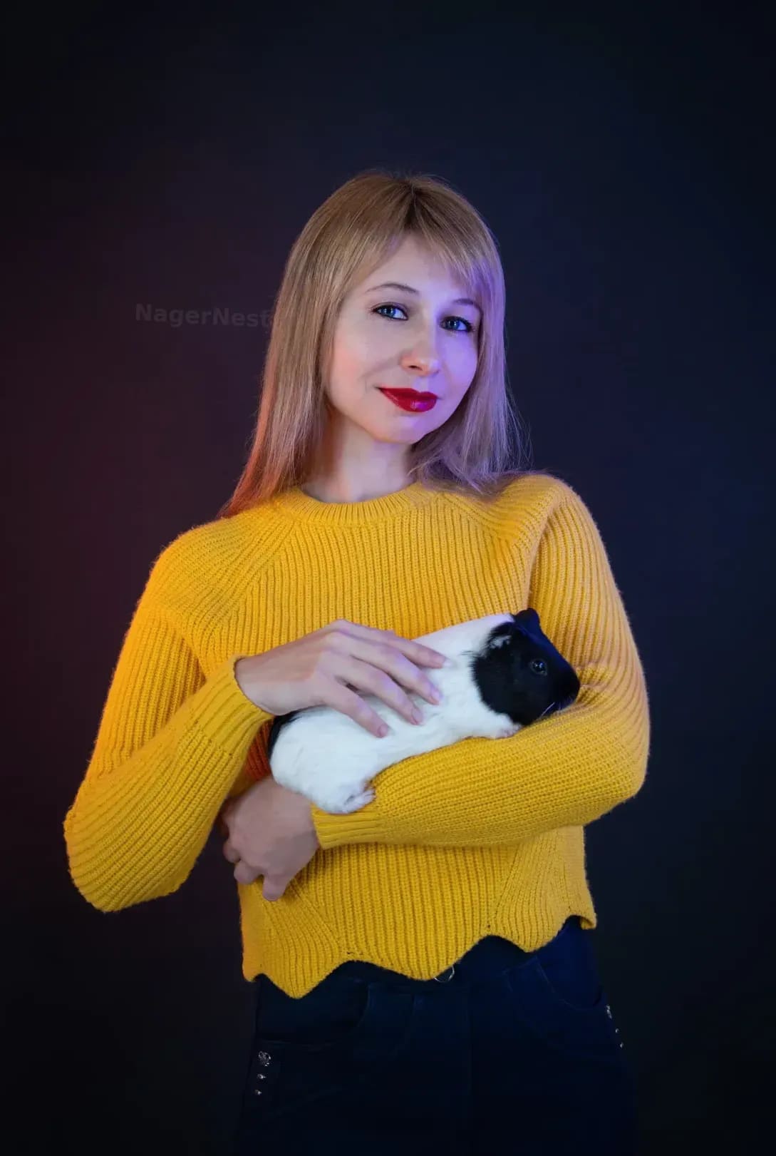 Verbesserung der Beratung für artgerechte Hamsterhaltung